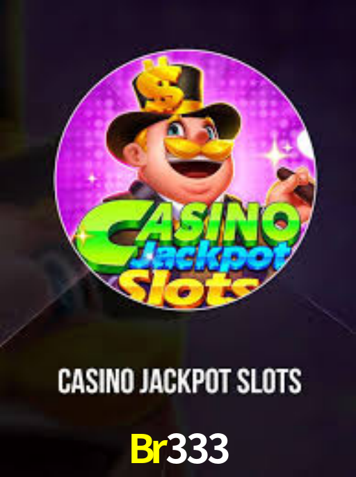 Interface Premium Br333